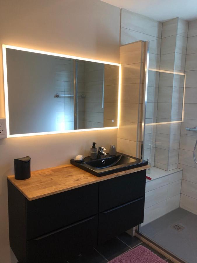 Appartement L'Oeil De Colmar Exteriér fotografie